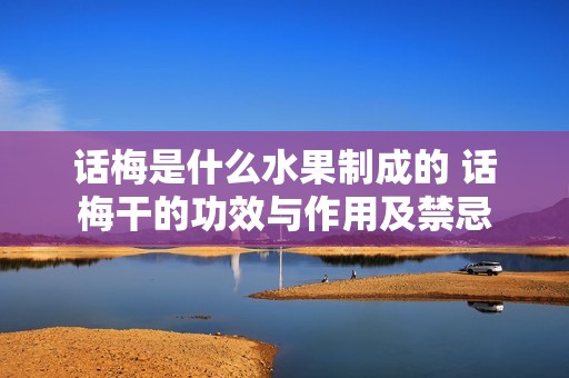 话梅是什么水果制成的 话梅干的功效与作用及禁忌