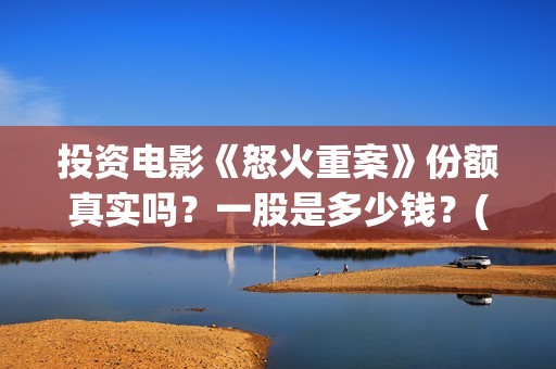 投资电影《怒火重案》份额真实吗？一股是多少钱？(怒火电影介绍)
