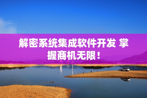 解密系统集成软件开发 掌握商机无限！