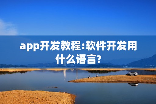 app开发教程:软件开发用什么语言?