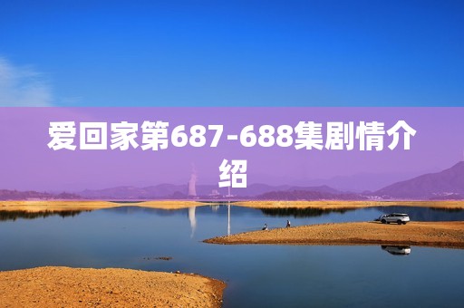 爱回家第687-688集剧情介绍