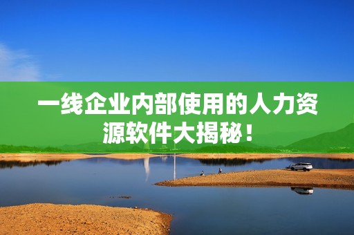 一线企业内部使用的人力资源软件大揭秘！