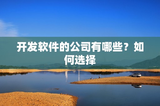 开发软件的公司有哪些？如何选择