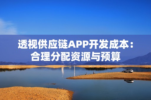 透视供应链APP开发成本：合理分配资源与预算