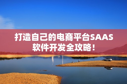 打造自己的电商平台SAAS软件开发全攻略！