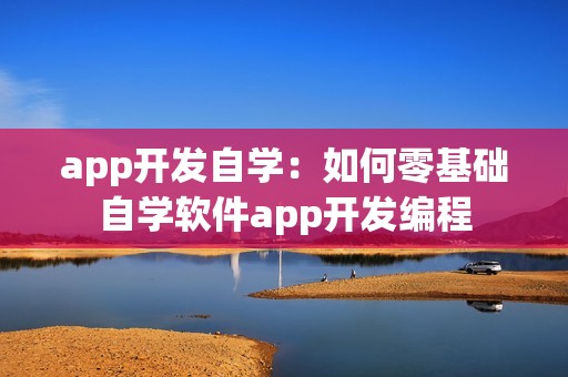 app开发自学：如何零基础自学软件app开发编程