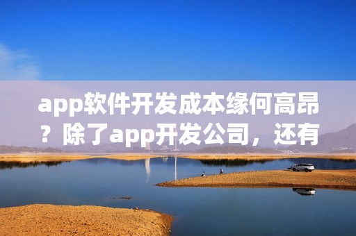 app软件开发成本缘何高昂？除了app开发公司，还有没有其他app开发方式？