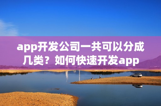 app开发公司一共可以分成几类？如何快速开发app