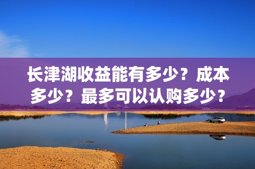 长津湖收益能有多少？成本多少？最多可以认购多少？(长津湖会亏本吗)
