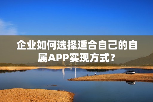 企业如何选择适合自己的自属APP实现方式？