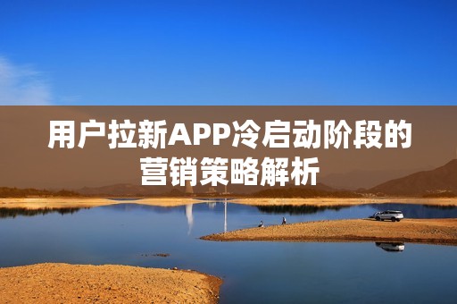 用户拉新APP冷启动阶段的营销策略解析