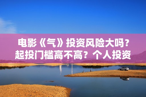 电影《气》投资风险大吗？起投门槛高不高？个人投资赚钱啊？