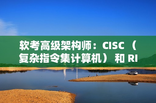 软考高级架构师：CISC （复杂指令集计算机） 和 RISC （精简指令集计算机）概念和例题