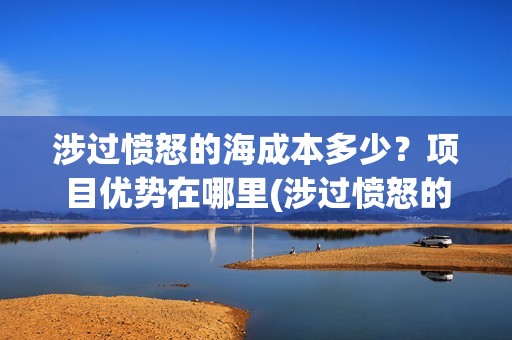 涉过愤怒的海成本多少？项目优势在哪里(涉过愤怒的海没过审)