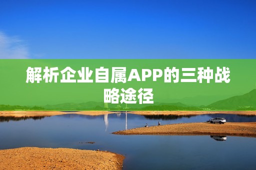 解析企业自属APP的三种战略途径