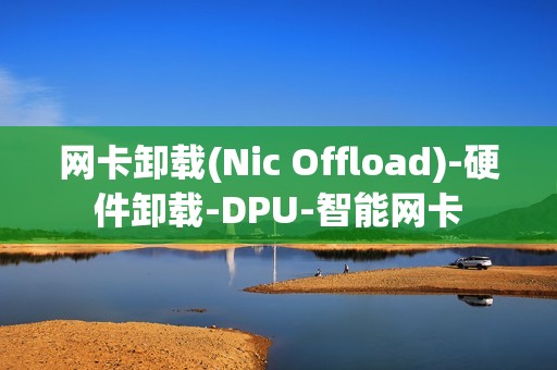 网卡卸载(Nic Offload)-硬件卸载-DPU-智能网卡