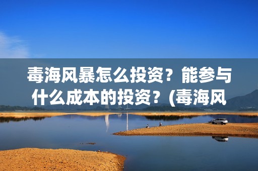 毒海风暴怎么投资？能参与什么成本的投资？(毒海风暴有哪几家拍摄)