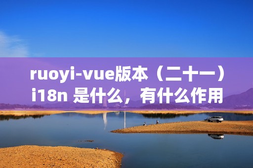 ruoyi-vue版本（二十一）i18n 是什么，有什么作用