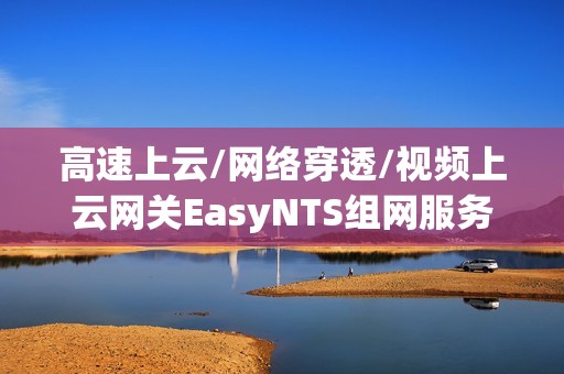 高速上云/网络穿透/视频上云网关EasyNTS组网服务在任务管理器中显示已停止是什么原因？