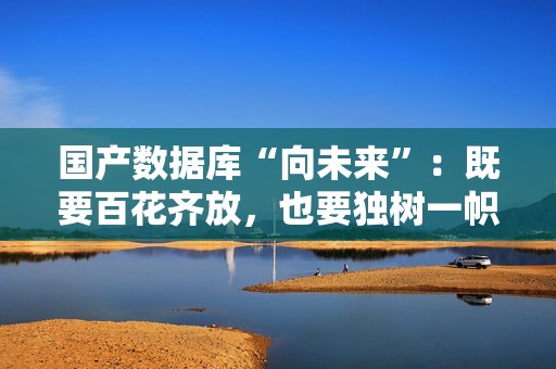 国产数据库“向未来”：既要百花齐放，也要独树一帜