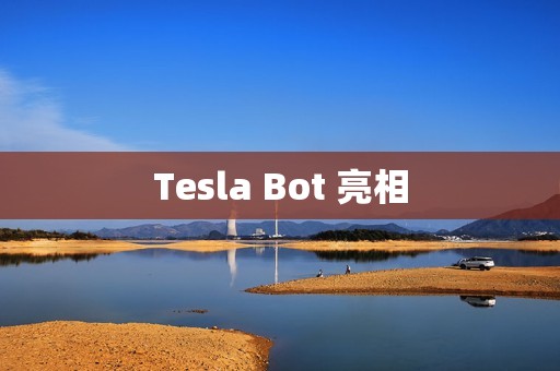 Tesla Bot 亮相
