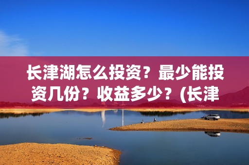 长津湖怎么投资？最少能投资几份？收益多少？(长津湖怎么参与投资)