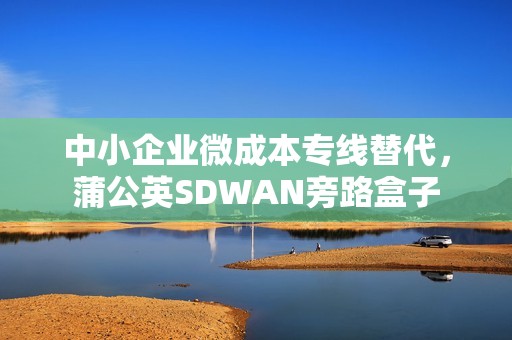 中小企业微成本专线替代，蒲公英SDWAN旁路盒子