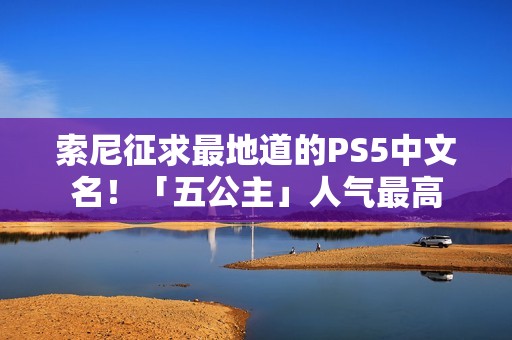 索尼征求最地道的PS5中文名！「五公主」人气最高