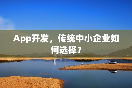 App开发，传统中小企业如何选择？