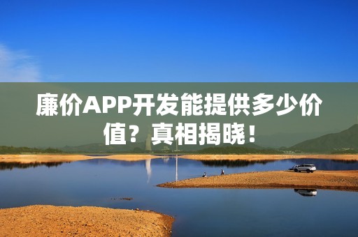 廉价APP开发能提供多少价值？真相揭晓！
