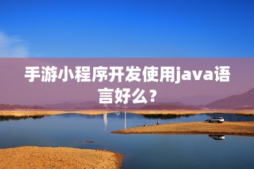 手游小程序开发使用java语言好么？