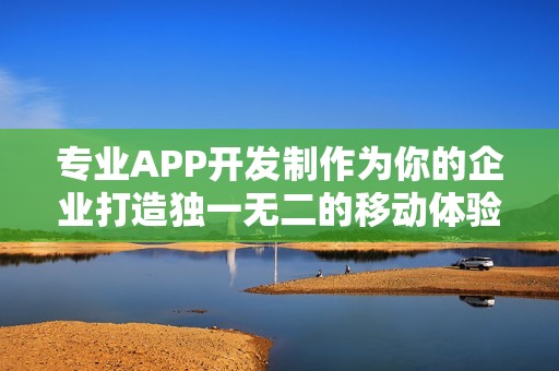 专业APP开发制作为你的企业打造独一无二的移动体验！