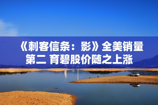 《刺客信条：影》全美销量第二 育碧股价随之上涨