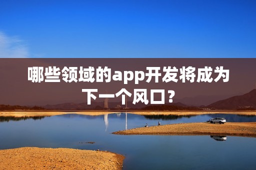 哪些领域的app开发将成为下一个风口？