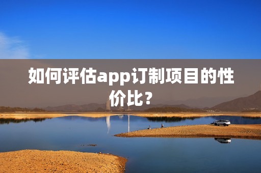 如何评估app订制项目的性价比？