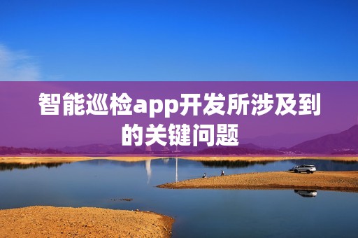 智能巡检app开发所涉及到的关键问题