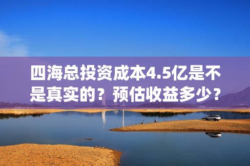 四海总投资成本4.5亿是不是真实的？预估收益多少？(四海 成本)