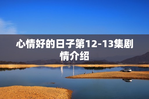 心情好的日子第12-13集剧情介绍