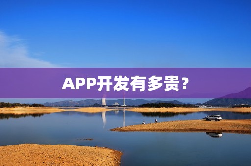 APP开发有多贵？
