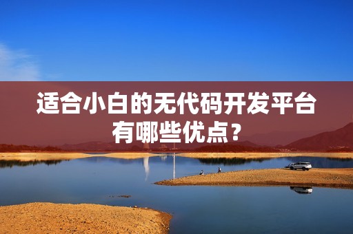 适合小白的无代码开发平台有哪些优点？