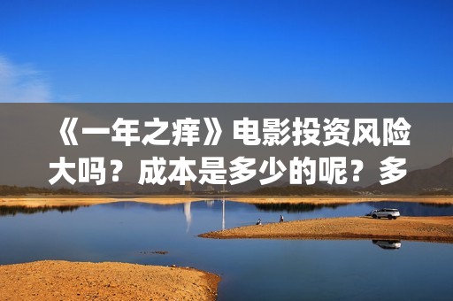 《一年之痒》电影投资风险大吗？成本是多少的呢？多少起投呢？(一年之痒免费播放)