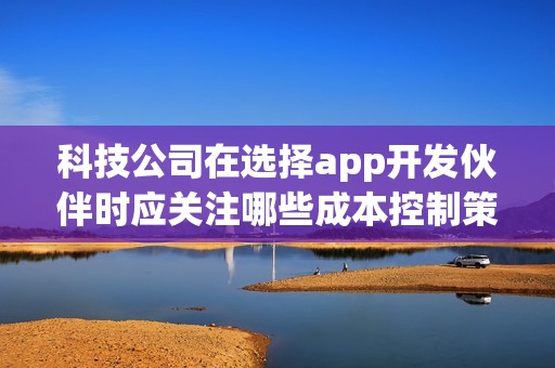 科技公司在选择app开发伙伴时应关注哪些成本控制策略