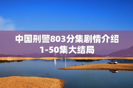中国刑警803分集剧情介绍1-50集大结局