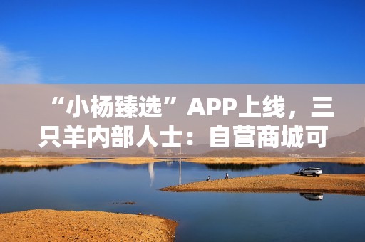 “小杨臻选”APP上线，三只羊内部人士：自营商城可更好地服务消费者，复播正准备中