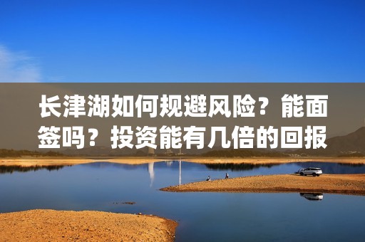 长津湖如何规避风险？能面签吗？投资能有几倍的回报率？(长津湖影响)