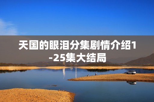 天国的眼泪分集剧情介绍1-25集大结局