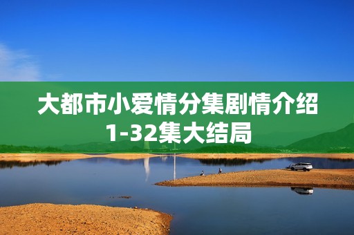 大都市小爱情分集剧情介绍1-32集大结局