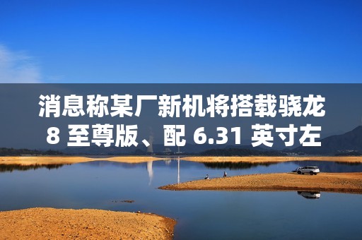 消息称某厂新机将搭载骁龙 8 至尊版、配 6.31 英寸左右 1.5K 小直屏，预计为一加 Ace 系列手机