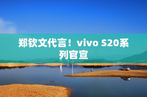 郑钦文代言！vivo S20系列官宣