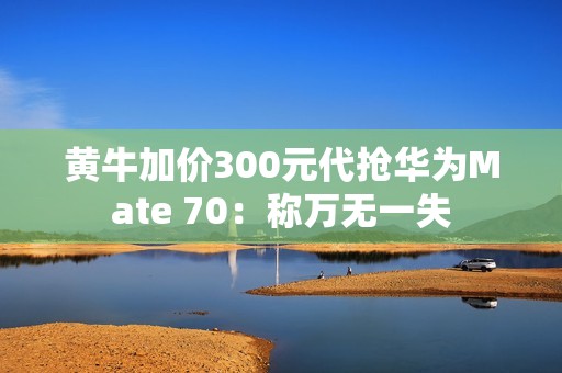 黄牛加价300元代抢华为Mate 70：称万无一失